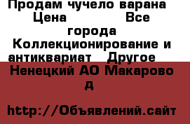 Продам чучело варана › Цена ­ 15 000 - Все города Коллекционирование и антиквариат » Другое   . Ненецкий АО,Макарово д.